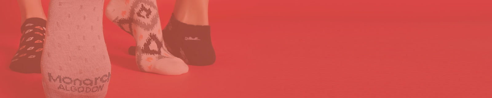 ✨Nueva Colección Calcetines✨