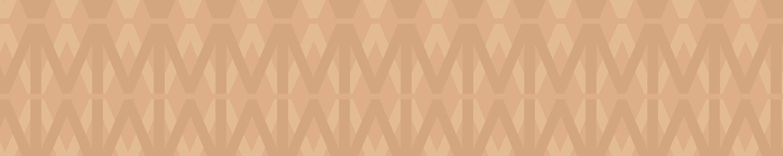 Pantys Efecto Control