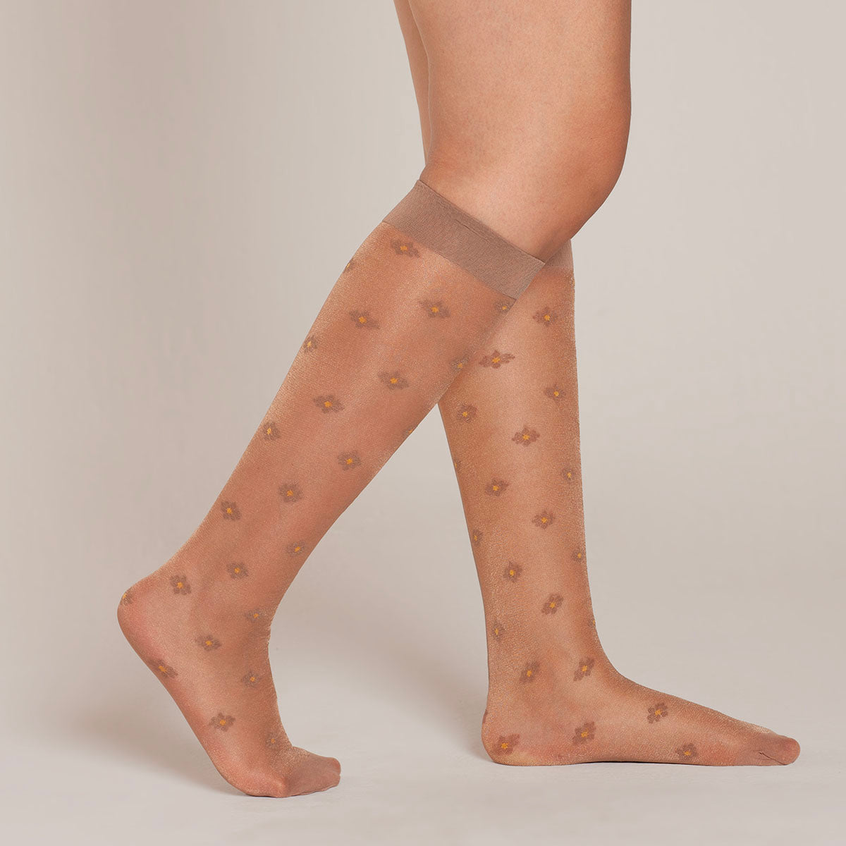 Lasst - Minimedia Diseño Margarita