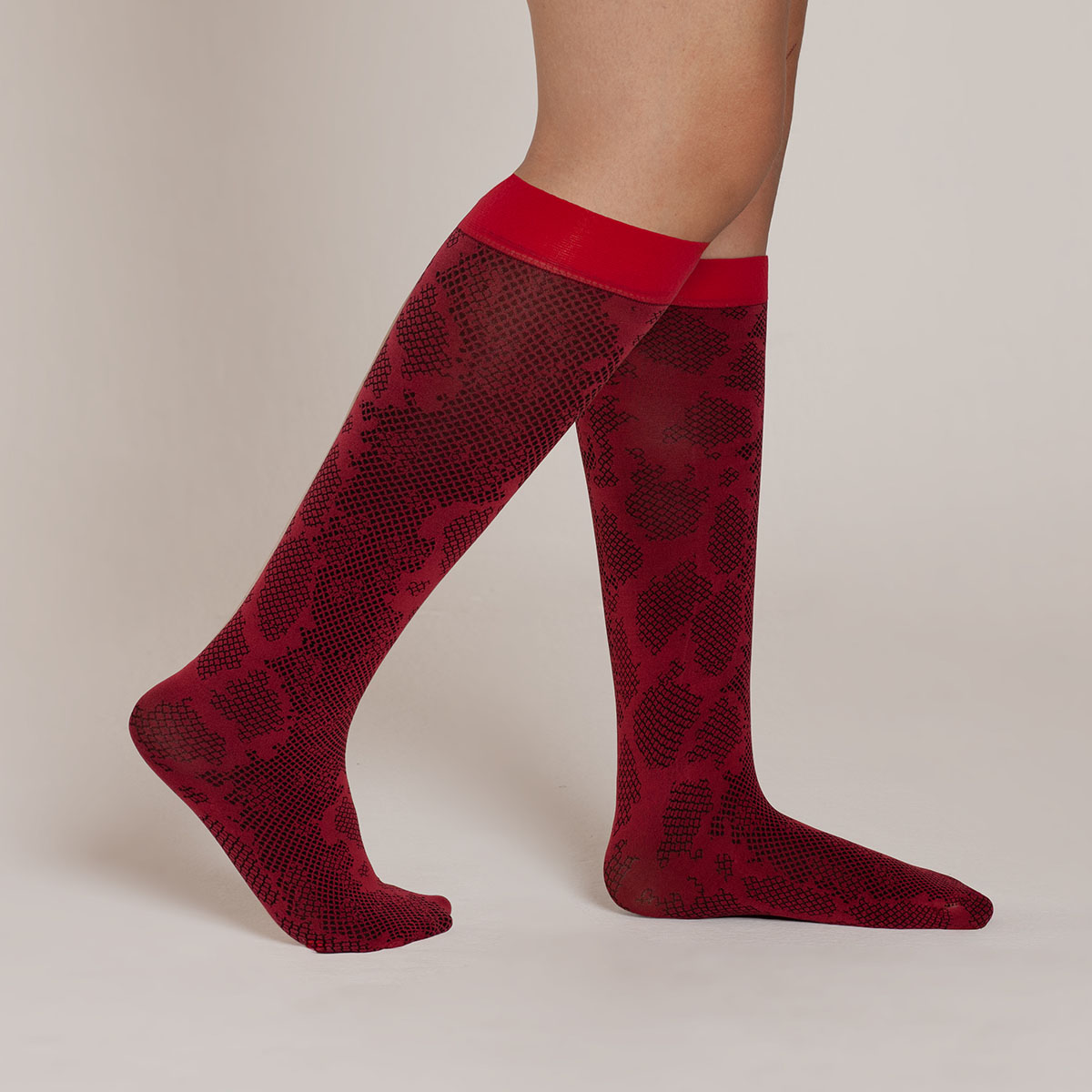 Lasst - Minimedia Diseño Piton