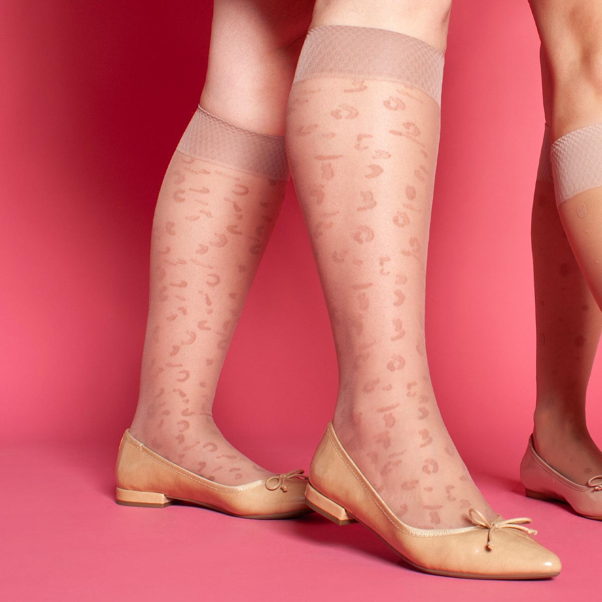 Lasst - Minimedia Animal