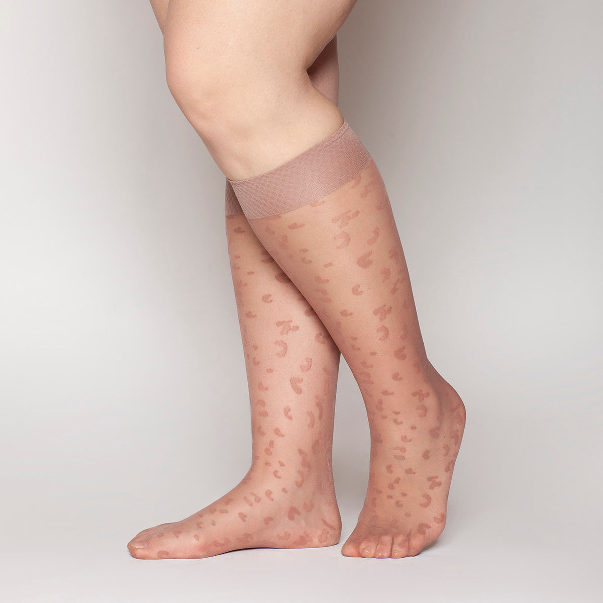 Lasst - Minimedia Animal