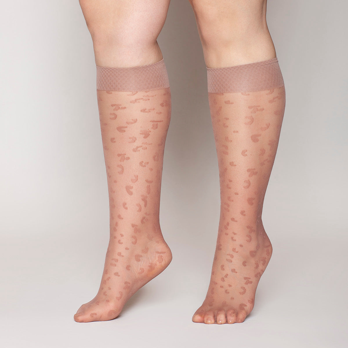 Lasst - Minimedia Animal