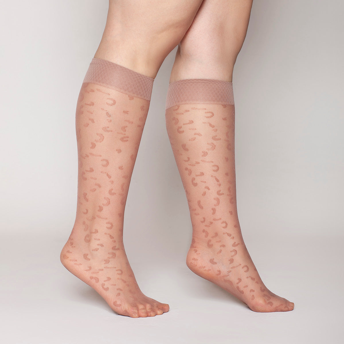 Lasst - Minimedia Animal