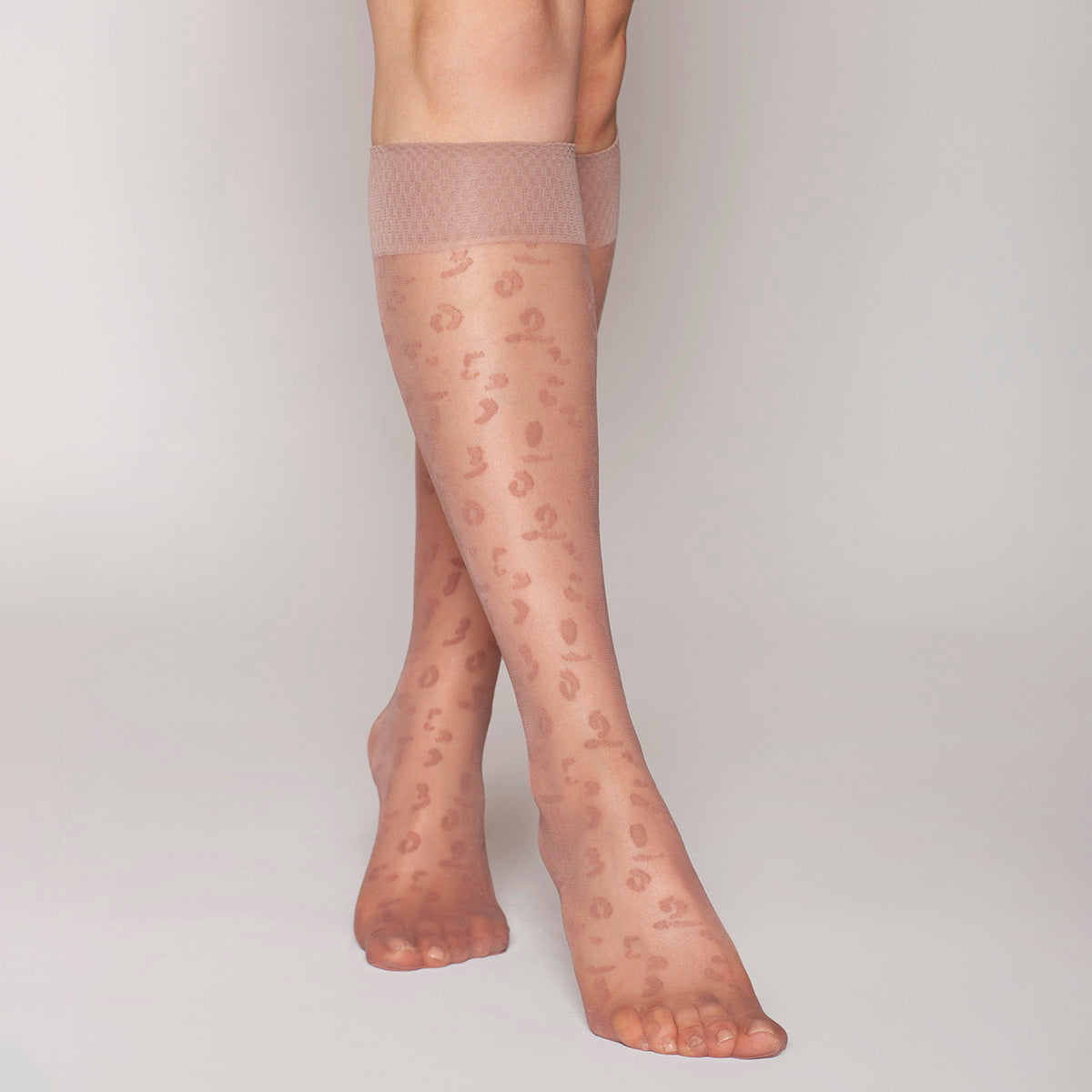 Lasst - Minimedia Animal