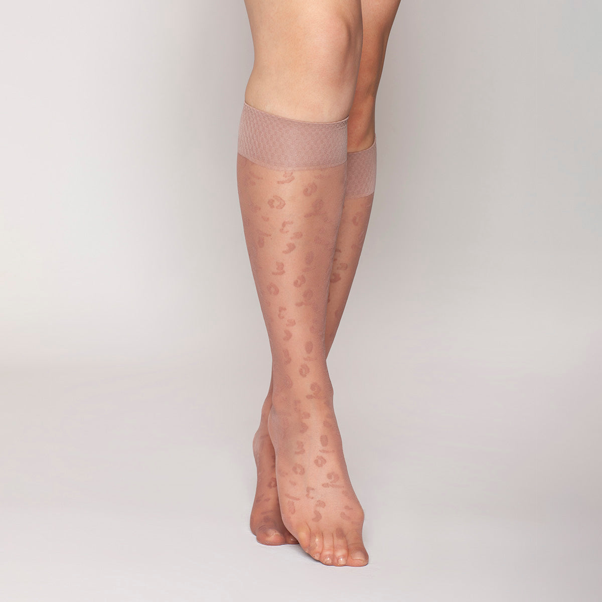 Lasst - Minimedia Animal