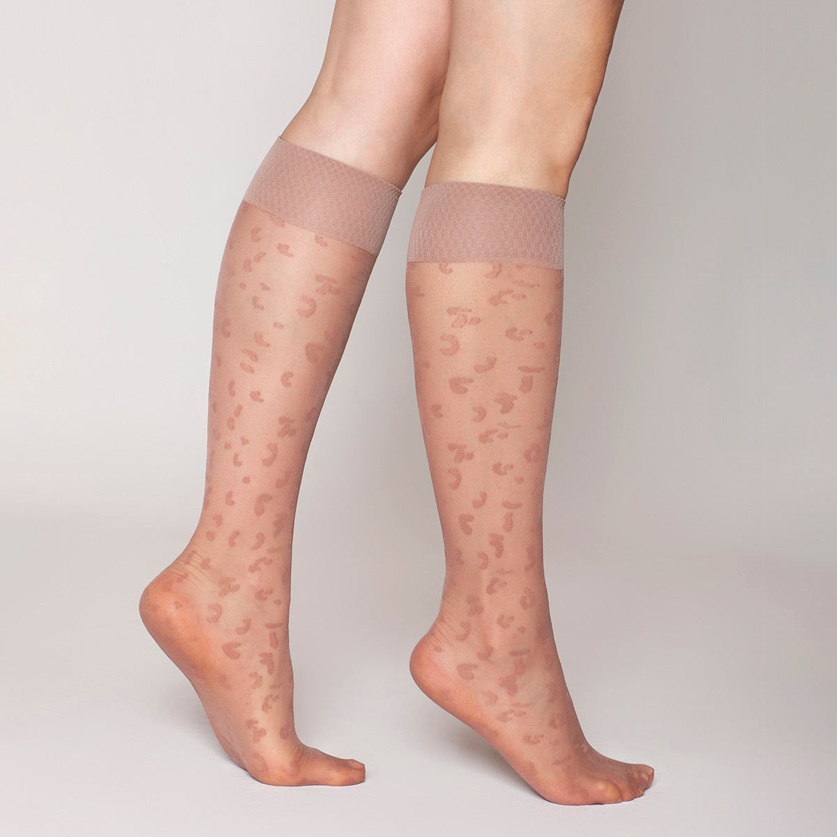 Lasst - Minimedia Animal