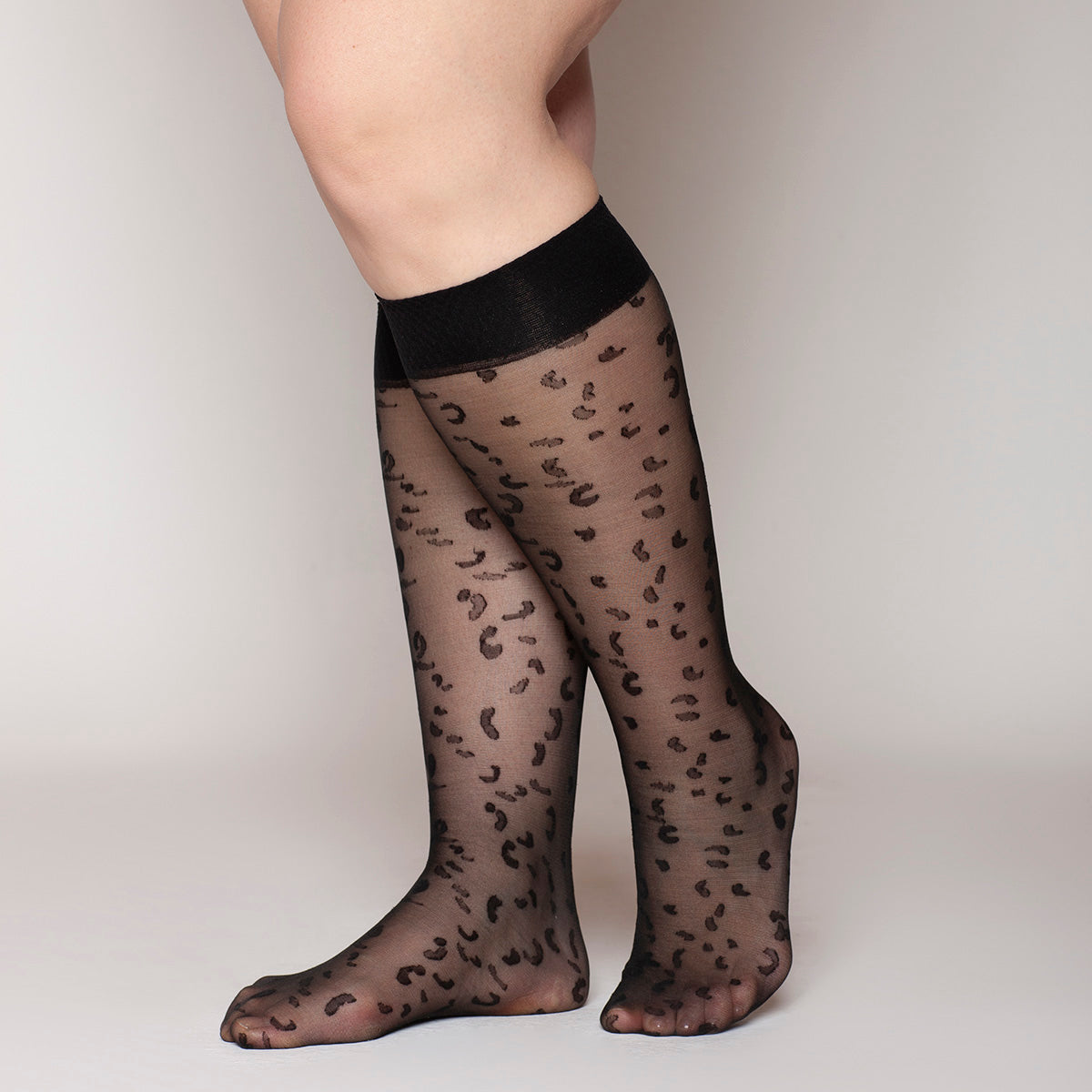 Lasst - Minimedia Animal