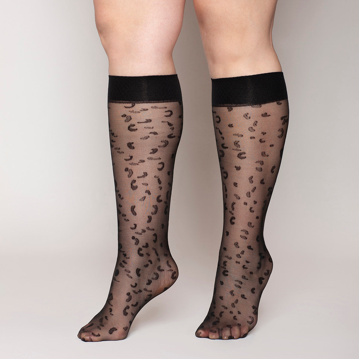 Lasst - Minimedia Animal