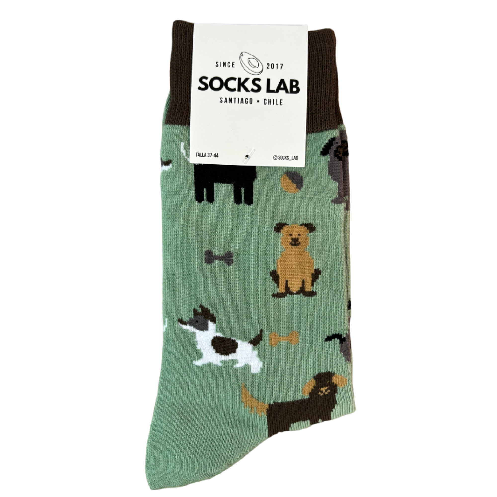Socks Lab - Calcetín Algodón Peinado Perros 2