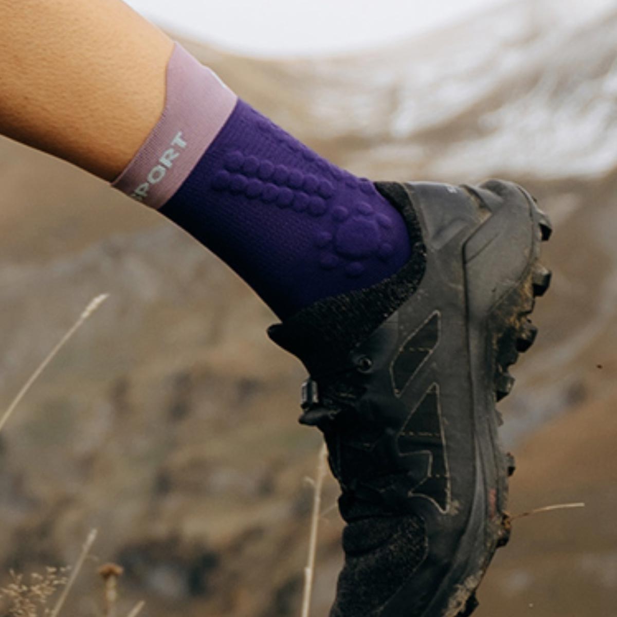 Compressport - Calcetín Pro Racing v4.0 Trail Morado