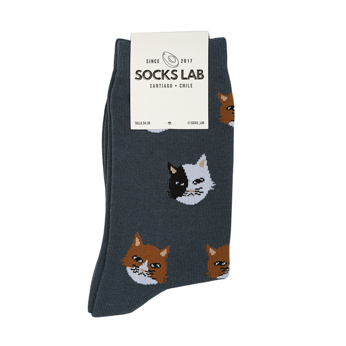 Socks Lab - Calcetín Algodón Peinado Gatos
