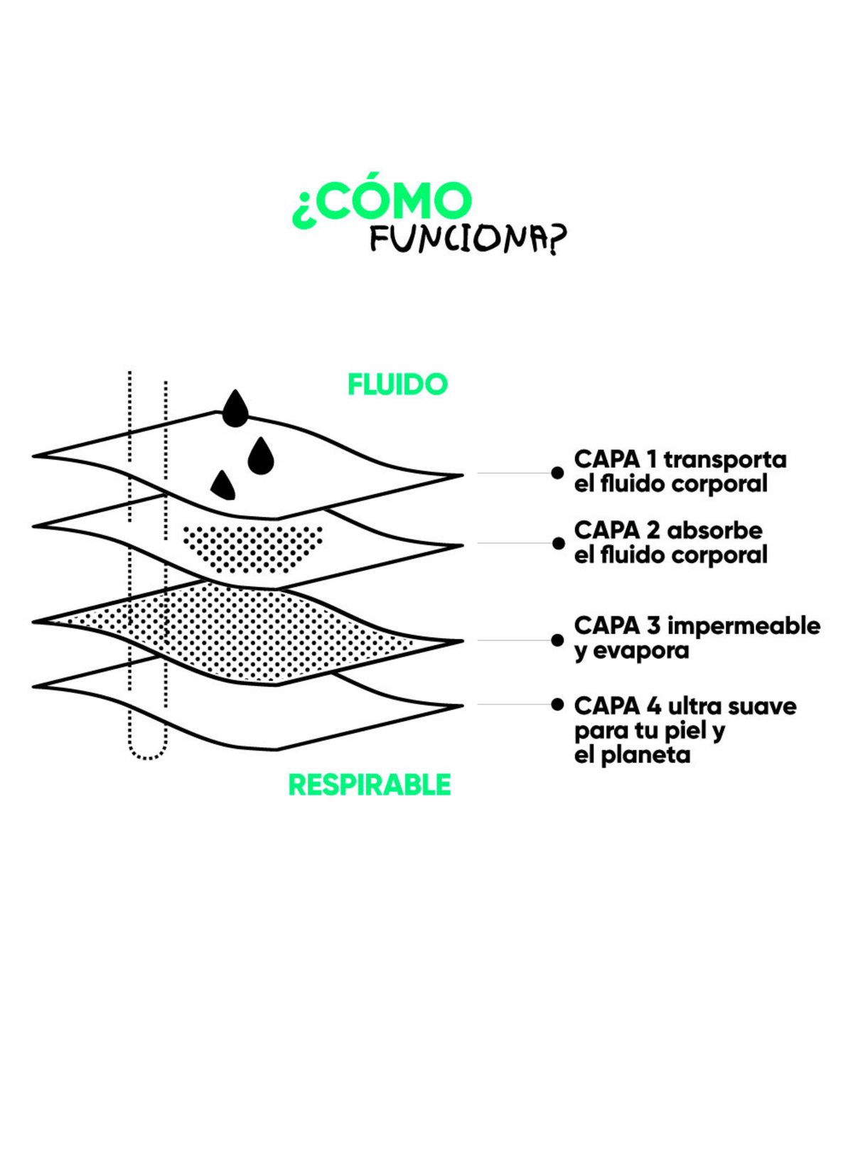 Bloodygreen - Calzón Menstrual Colaless Flujo Liviano